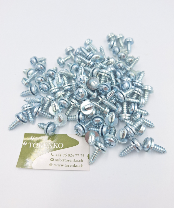 Nummerschildschrauben Kreuzschlitz 5.5 x 16mm (50Stk.)